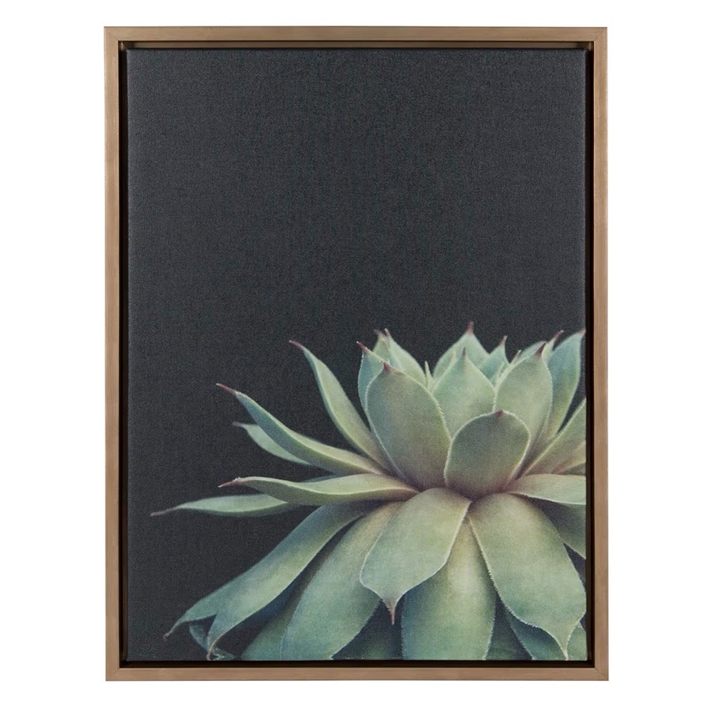 Succulent Framed Canvas Wall Art by F2 Images, 18x24 Gold